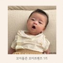 모이몰른 미니모이 밤부라인 아기 백일선물로 좋아요