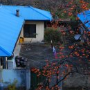 청도감마을 이미지