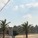 승미목장 | 성산승마 목장카페 밭디에서 승마, 자전거, 카페까지 다녀온 후기!