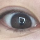 메종뷰티 속눈썹펌&눈썹 이미지