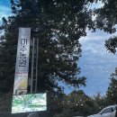 더(The) 미주농원 120 이미지