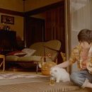 케이렌트카(주) 이미지