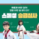 국가대표 스페셜태권도장 이미지