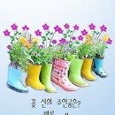 6월3일 월요일 제주사랑방 아침인사 이미지