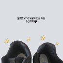 코알라수선