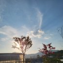 국수생활체육공원 이미지