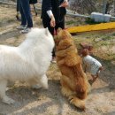 오수(완주) 이미지