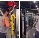 동그랗개 이미지