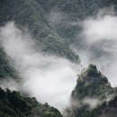 (주)복주개발 | 금융의 역사 14편 화폐의 발달 과정 중국 근대사3