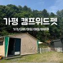 가평 캠프 위드펫 &amp; 애견 글램핑 후기