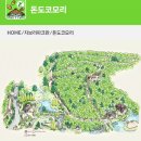 가나샵 | 일본 나고야 6박7일 초등딸 둘과 다녀온 지브리파크 티켓예약, 동선, 굿즈샵 후기