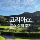 코리아대중CC 이미지