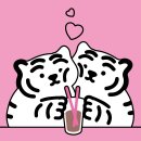 오늘당구DAY 이미지