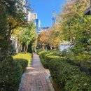 삼성동-22 이미지