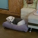 멍스테이션 이미지