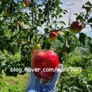 이현농장 이미지