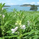 순흥농장 이미지