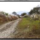 강천마을 이미지