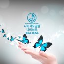 나비상조