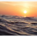 동해카써비스 이미지