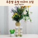 주식회사 우리셀바이오 | 루온셀 듀얼 아쿠아 크림 속건조 크림 후기