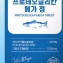 메가웰스