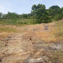 산외면~종산리 이미지