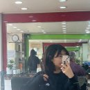 까꼬뽀꼬 이미지