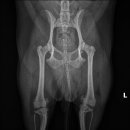 구리동물병원 이미지