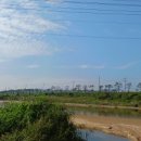 청미천 5 이미지