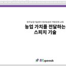 엔와이스피치