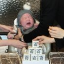 동탄떡방앗간