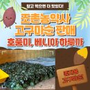 종순유통