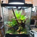 비바리움매니아 이미지