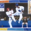 맥시멈 태권도 이미지