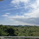 창진목장 | 신나진진의 제주동쪽여행 3일차/ 제주브런치 난산리다방 조아가지구 제주김만복 새우리 제주소품샵 무드...