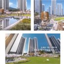 광안초등 이미지