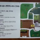 제주펫스쿨 이미지