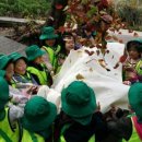 용인아이숲유아숲체험원 이미지