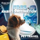 코비트래블 - 중구 남대문로10길 9 | 코비트래블