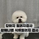 팝애니랩 이미지