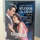 초원의 빛 | [고전영화] 초원의 빛, Splendor In The Grass / 1961 / 감독 엘리아 카잔 / 나탈리 우드, 워렌 비티...