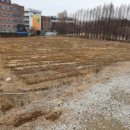 서울신명초등학교 이미지