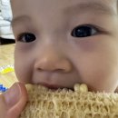 태이네일