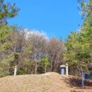 김흥근 선생 묘 이미지