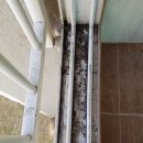 크린패밀리 이미지