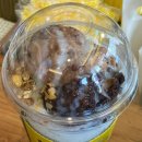 메가커피 컵빙수, 팥빙 젤라또 파르페 칼로리