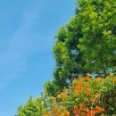 인화여자고등학교 이미지