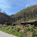 경상북도종합관광안내센터 이미지