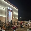 삼천동카페 | 삼천빌리지 카페 삼천 전주 삼천동 카페 크리스마스트리 내돈내산 솔직후기